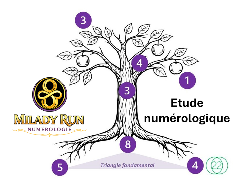 Etude numérologique 49 €